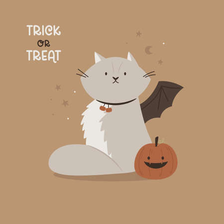 Halloween illustration with a funny cat and pumpkinのイラスト素材