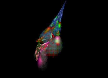 Abstract bird. Computer generated pictureの写真素材