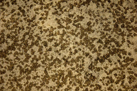 sand texture with rain drops