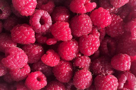 Raspberry. Bright natural delicious backgroundの写真素材