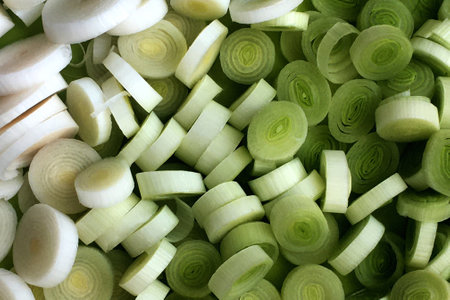 Natural fresh healthy cutted leek.の写真素材