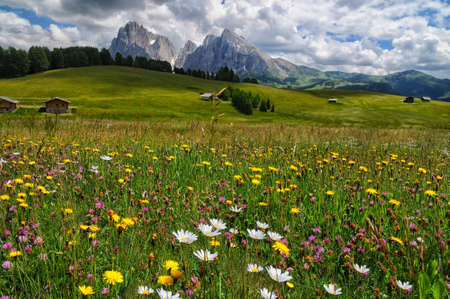 View of the Sassolungo (Langkofel) and Sassopiatto Group of the Italian Dolomites from Alpe di Siusi...
