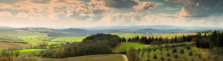 Beautiful Tuscan landscape with olive trees and cypress near Castellina in Chianti, Siena. Italy.の写真素材