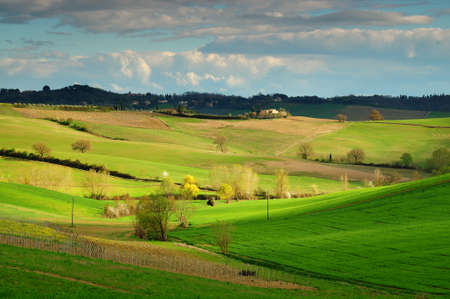 Beautiful Tuscan landscape near Castellina in Chianti, Siena. Italy.の写真素材