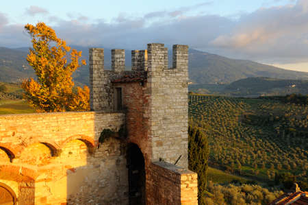 Nipozzano Castle and Vineyards on background, Chianti near Florence in Tuscany, Italyの写真素材