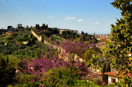 View from Piazzale Michelangelo in Florence with flowering treesの写真素材