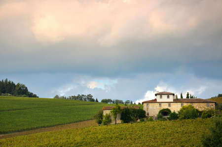 Vineyards and Famrhouse in Chianti. Tuscany, Italy.のeditorial素材