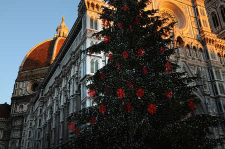 Christmas in Florence. Christmas tree in Piazza del Duomo in Florence with the Cathedral on the background. italyの写真素材