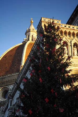 Christmas in Florence. Christmas tree in Piazza del Duomo with Cathedral Santa Maria del Fiore on the background. Italy の写真素材