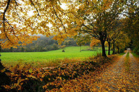 autumn scene in the tuscan countryside