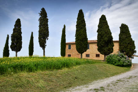 PIENZA, TUSCANY / ITALY - April 24, 2018: tuscany landscape, farmland The Cypress trees, italian cypress trees. Located in Siena countryside.のeditorial素材