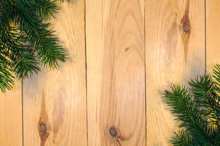 Christmas fir tree branch on wooden background. Xmas background frame