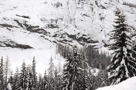 Dolomites near Canazei, Trentino Alto-Adige. Val di Fassa, Italy.の写真素材