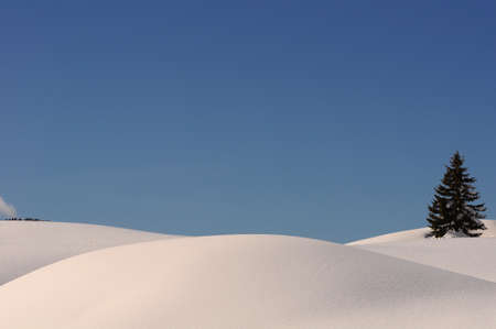 Winter scene at San Pellegrino Pass in the Italian Dolomites. South Tyrol in Italyの写真素材