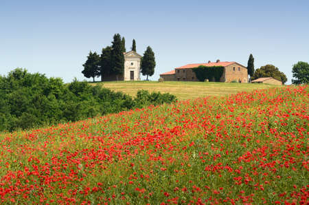 Pienza, Tuscany - June, 2019: Chapel of Vitaleta or Vitaleta Chapel near Pienza in Tuscany. Beautiful field of red poppies and the famous Chapel on background. Siena, Italy.のeditorial素材