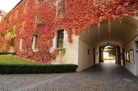 Red leaves at Abbey of Novacella, south tyrol, Bressanone, Italy.の写真素材