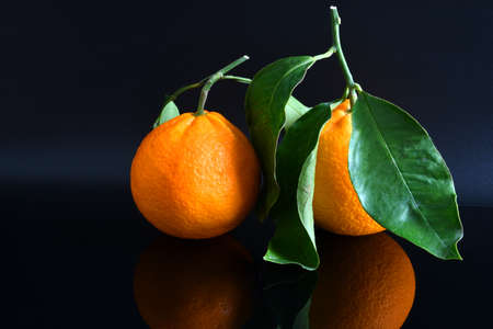 Close-up view of fresh Tarot Oranges with green leaves isolated on black reflective background.の写真素材
