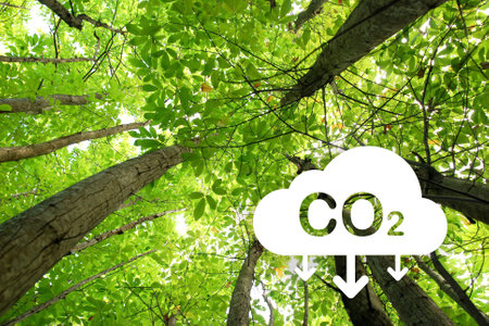 low angle view of a green forest with CO2 reduction icon. CO2 reduction concept for environment, global warming, sustainable development and renewable energy green business.の写真素材