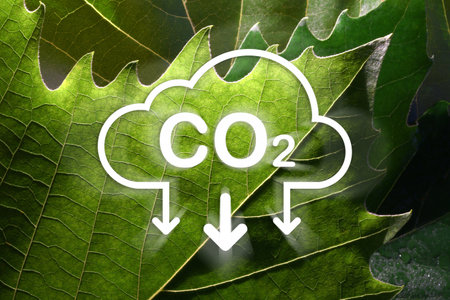 CO2 reduction icon on green leaves. CO2 reduction concept for environment, global warming, sustainable development and renewable energy green business.の写真素材