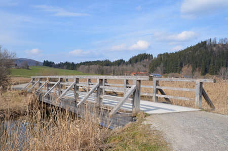 Wooden bridge over a brook near the lake Hopfensee in the Allgaeu, Bavaria, Germany