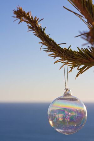 Christmas Ornament On A Tree In Front Of The Blue Seaのeditorial素材