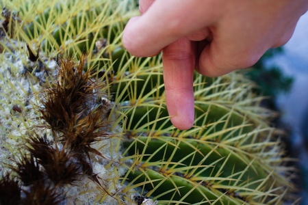 Woman hurt herself on a thorn from a cactus and is holding her handの写真素材