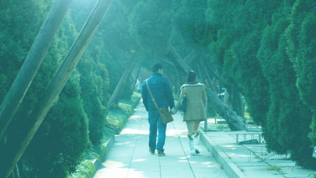 Love Roadのeditorial素材