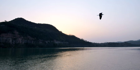 Large Various Artistsの写真素材