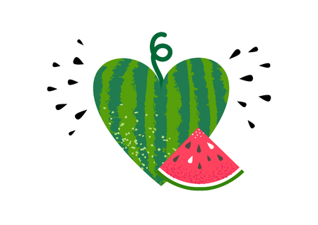 watermelon summer fruitのイラスト素材