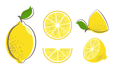 Fresh lemon fruits with leaf. Lemon vector illustration set. Whole, cut in half, sliced on pieces lemons. Citrus collection. Lemon logo or icon.のイラスト素材