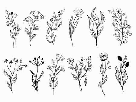 Outline flowers vector set black silhouette plantsのイラスト素材