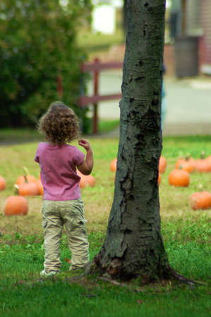 Little Girl Pumkin Pickingの写真素材