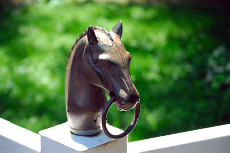 A photo of a bronze horse headの写真素材
