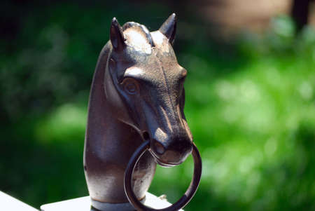 A photo of a bronze horse headの写真素材