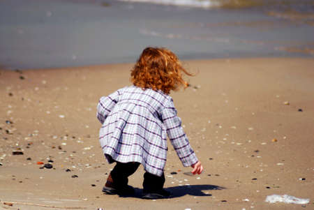 A little girl picking up a white sea shell on a beachの写真素材