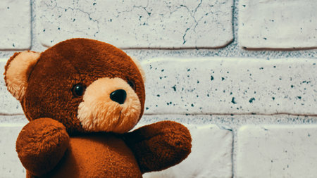 Teddy bear against the background of the wall