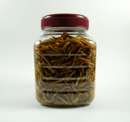 Jar with dried mealworms on a white background close up
