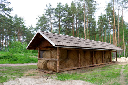 Round bales of hay under a canopy in the forestの写真素材