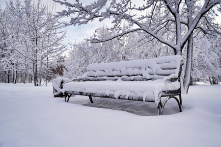 A bench in a city park covered with snowの写真素材