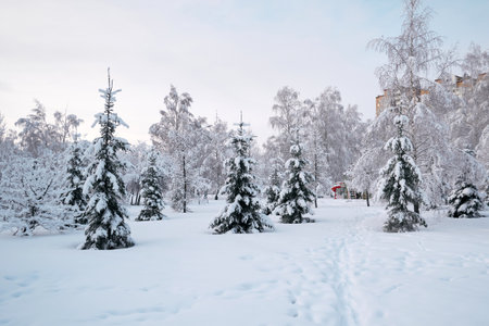 Winter landscape with snow covered trees in the city parkの写真素材