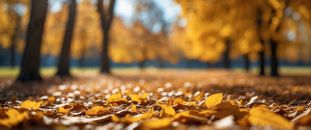 Blurred background of a natural park with a carpet of yellow leavesの素材