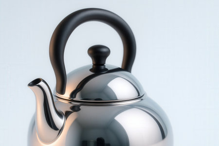 Stainless Steel Kettle with Black Handle and Spout Detailの素材