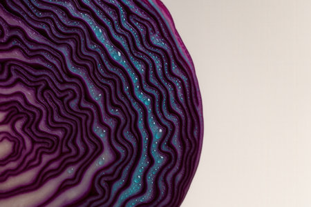 Purple Red Cabbage Cross Section Showing Intricate Natural Patterns And Water Dropletsの素材