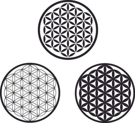 Flower of life symbol sacred geometry designのイラスト素材