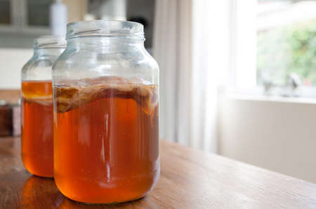 Kombucha tea, the brew is ready to be placed in storage with the bacteria culture in place to ferment the brew.の写真素材