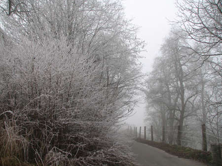 A frosty road leading to your destinationの写真素材