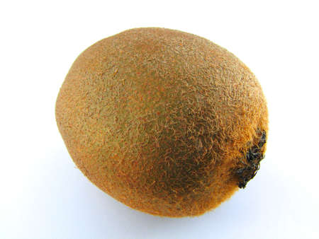 A closeup of a kiwi fruit isolated on whiteの写真素材