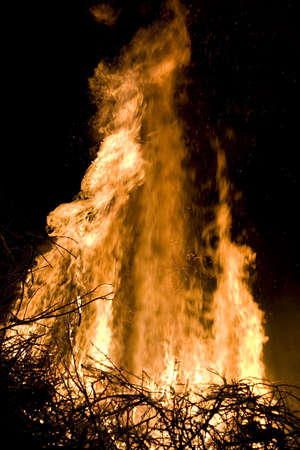 A photo of burning wood with detailed flamesの写真素材