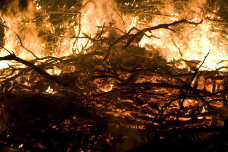 A photo of burning wood with detailed flamesの写真素材
