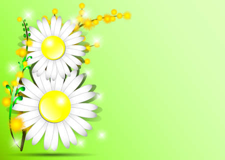 Holiday greeting card with mimosa and shape of 8 from daisies on green background on International Womens Day. March 8. Vector illustrationのイラスト素材